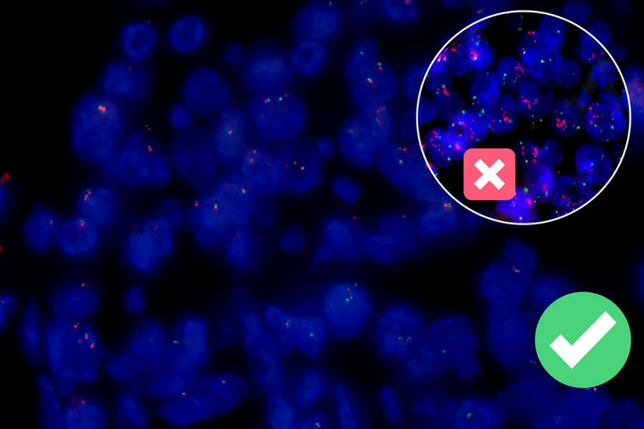 FISH_02.jpg FISH_02.jpg