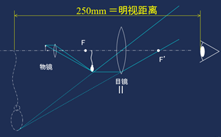 顯微鏡各種放大倍數(shù)的計(jì)算